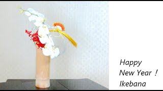 Happy New Year “Ikebana ”いけばな [upl. by Jessalin]