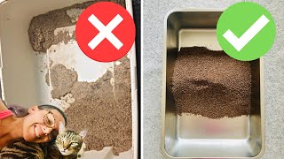 Cat litter box hacks that will save your life [upl. by Milissent592]