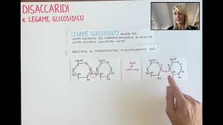 I Disaccaridi e il legame glicosidico [upl. by Zilvia]