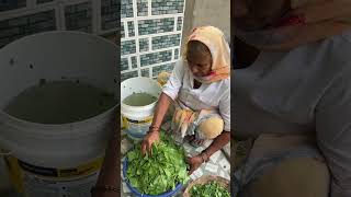 Bachho Ki Farmaish palaksaag villagefood villagekitchen sunilpalvlogs [upl. by Acinom55]