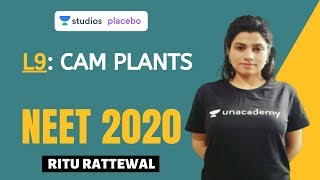 L9 CAM Plants  Photosynthesis Complete NCERT Review  NEET 2020 [upl. by Ilarin]