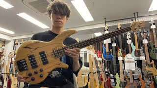 Overwater Basses  Progress Standard 4 Spalted Beech  Natural Satin 【Test Play】 [upl. by Den24]