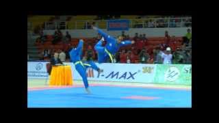 The Best Martial Art VoVinam [upl. by Tiffi]