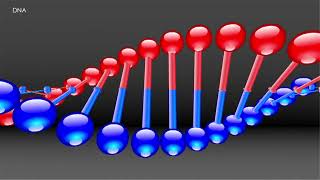 Forensic Science  41 DNA Introduction [upl. by Assirol610]