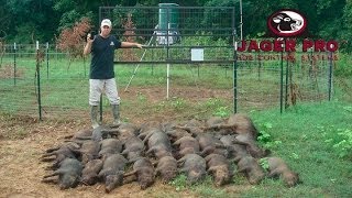 Wild Hog Trapping  17 MINE™ Trapping System before June Planting  JAGER PRO™ [upl. by Seditsira]