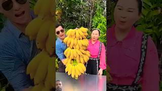 Banana ki kheti  naturallifeb naturalclips naturelife fruit nature shorts [upl. by Mable87]