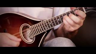 Mandolin tunes Lad OBeirnes Irish reel [upl. by Oppen]