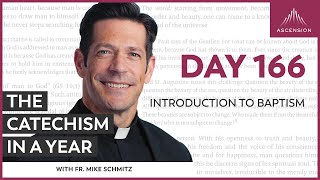 Day 166 Introduction to Baptism — The Catechism in a Year with Fr Mike Schmitz [upl. by Attevaj903]