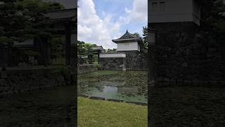 Exploring Imperial Palace Gardens and Akihabara in Tokyo [upl. by Pirali832]