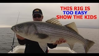 HOW TO CATCH STRIPED BASS FOR DUMMIES NO OFFENSE THE PERFECT RIG [upl. by Gwenette679]