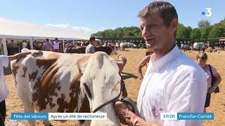 La HauteSaône accueille la grande fête régionale de lagriculture [upl. by Huxley]