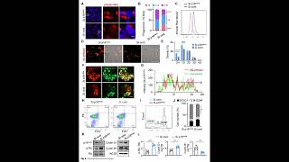 PLGARhodamine from PolySciTech used in development of nanoparticles for Alzheimer treatment [upl. by Arorua]