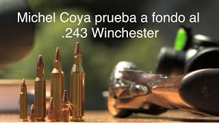 ¡¡¡El 243 Winchester a fondo [upl. by Jelene35]