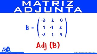 Matriz adjunta [upl. by Fuld184]