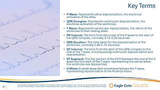 ECG Waveforms [upl. by Jaquenette]