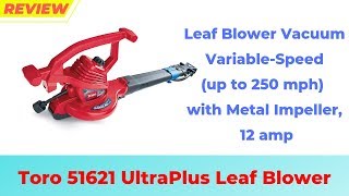 Toro 51621 UltraPlus Leaf Blower  REVIEW 2019  12 amp [upl. by Kristos]