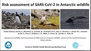 Risk Assessment of SARS CoV 2 in Antarctic Wildlife [upl. by Cyndie920]