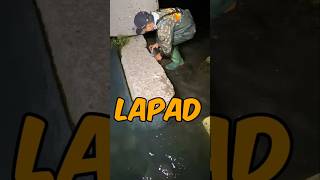 Ang lapad nakatakas sa lakas🐟fishing shortvideo [upl. by Eran932]