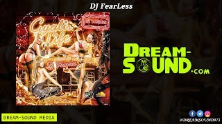 DJ FearLess  Gyalis Life Dancehall Mixtape 2019 [upl. by Dlaregztif]