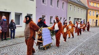 Fastnachtsumzug Bad Schandau 2024 4k [upl. by Nylikcaj]