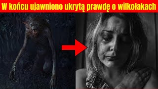 NOWE dowody ujawniają PRAWDĘ o WILKOŁACH [upl. by Thayne104]