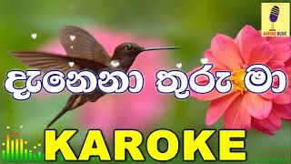 Danena Thuru Ma  Dinesh Gamage Karoke Without Voice [upl. by Fidelis990]