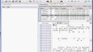 Tutorial Digital Forensics with Winhex Part 2 [upl. by Ramor]