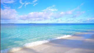 Maldives Ocean 4K 🏝 Tropical Beach in Summer Ocean sounds for sleep and study [upl. by Skinner]