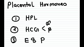 HORMONES SECRETED BY PLACENTA  HPL HCG [upl. by Aisanahta860]