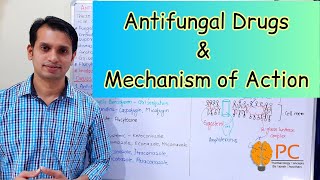 Antifungals Drugs Pharmacology Part 1 Classification and Mode of Action of Antifungal Drugs [upl. by Dwyer]