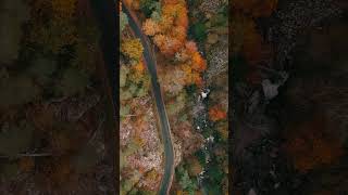 COULEURS D’AUTOMNE 🍂 nature relaxing autumn drone [upl. by Eniamurt]