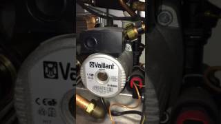 Vaillant EcoTec Plus 824 boiler making noise [upl. by Jaynell]