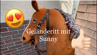 Im Wald verlaufen mit Hobby Horse😱 [upl. by Arej]