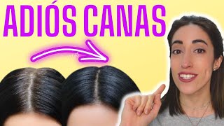 👌 ELIGE el NÚMERO de TINTE correcto para CUBRIR tus CANAS [upl. by Harelda]