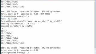 amazingly useful and powerful tool for copying files  rsync [upl. by Bruning]