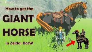 How to get the GIANT HORSE in Zelda Breath of the Wild [upl. by Anaz114]