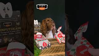 Hundeadventskalender ASMR  so macht auspacken Spaß [upl. by Dyane110]