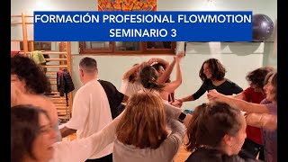 Formación profesional Flowmotion Seminario 3 [upl. by Erund]