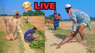 very amazing funny video live top funnniest comedy live 2024 [upl. by Ierdna326]