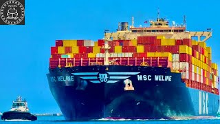 SHIPSPOTTING LOS ANGELES 4K CONTAINER SHIPS AND TANKERS  August 2024 [upl. by Yatnoed905]