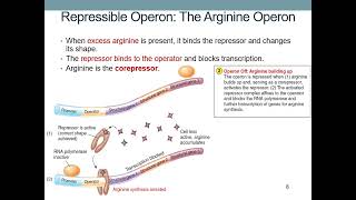 Gene Regulation [upl. by Karla]