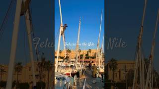 Felucca sailing on the Nile River in Luxor is a dreamy ride 🥹 luxoregypt nileriver [upl. by Ardnajela40]