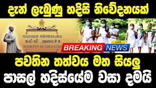 ADA DERANA NEWS LIVE  News 1st today  BREAKING NEWS  TODAY here is Government special decisi [upl. by Yrellav]