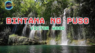 Bintana Ng Puso  Victor Wood Karaoke [upl. by Ecnerolf]