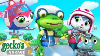 Geckos Garage  Motorcycle Misadventure  Cartoons For Kids  Toddler Fun Learning [upl. by Ttirb]