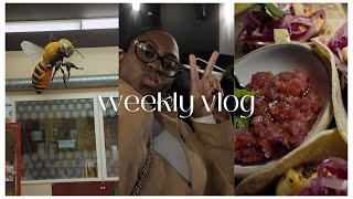 WEEKLY VLOG FIRST DATE BBL ALLEGATIONS SHOPPING PARENTS ANNIVERSARY [upl. by Nosduh642]