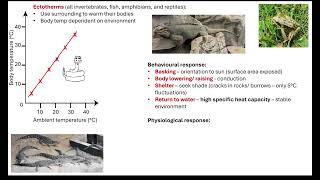 Temperature control in endotherms and ectotherms 511 Communication and homeostasis [upl. by Oinotna]