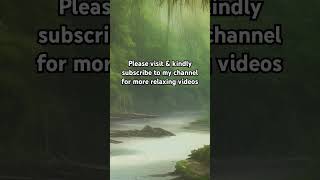 Rain Ambient shorts short rain nature relaxing life healing depression ambient asmr fyp [upl. by Nywde677]