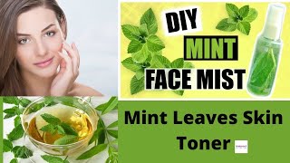 DIY Mint Leaves Skin Toner  Reduces pores Blackheads Acne [upl. by Aynwad]