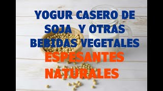 Cómo hacer Yogur casero vegano soja y otras bebidas vegetales Fermentos alta calidad probiótica [upl. by Yddor]